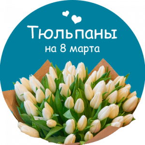 Купить тюльпаны в Миллерово